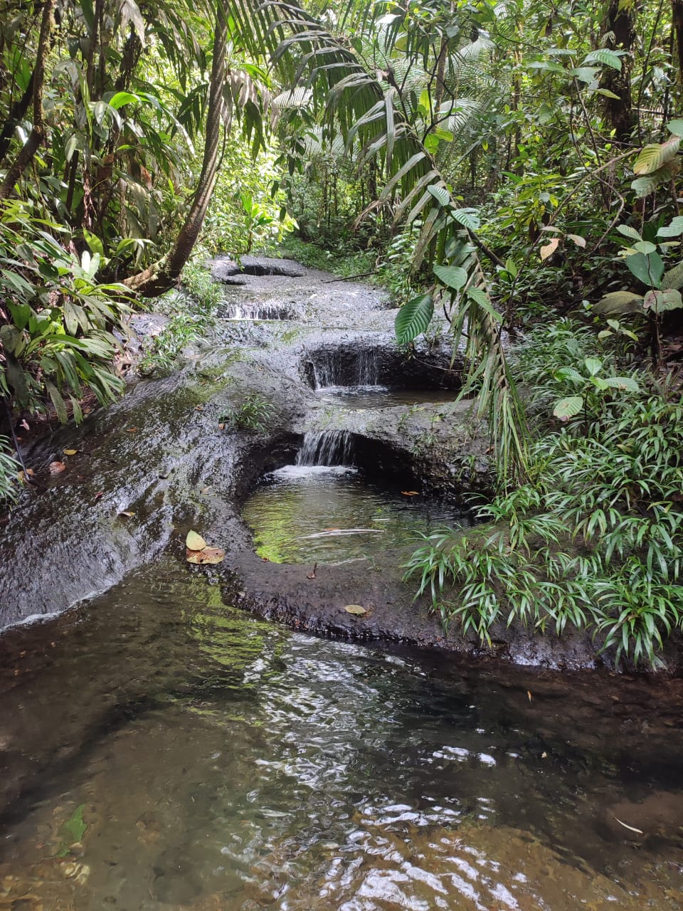 Pozos y charcos naturales de agua cristalina en San Cipriano - piscinas naturales Colombia